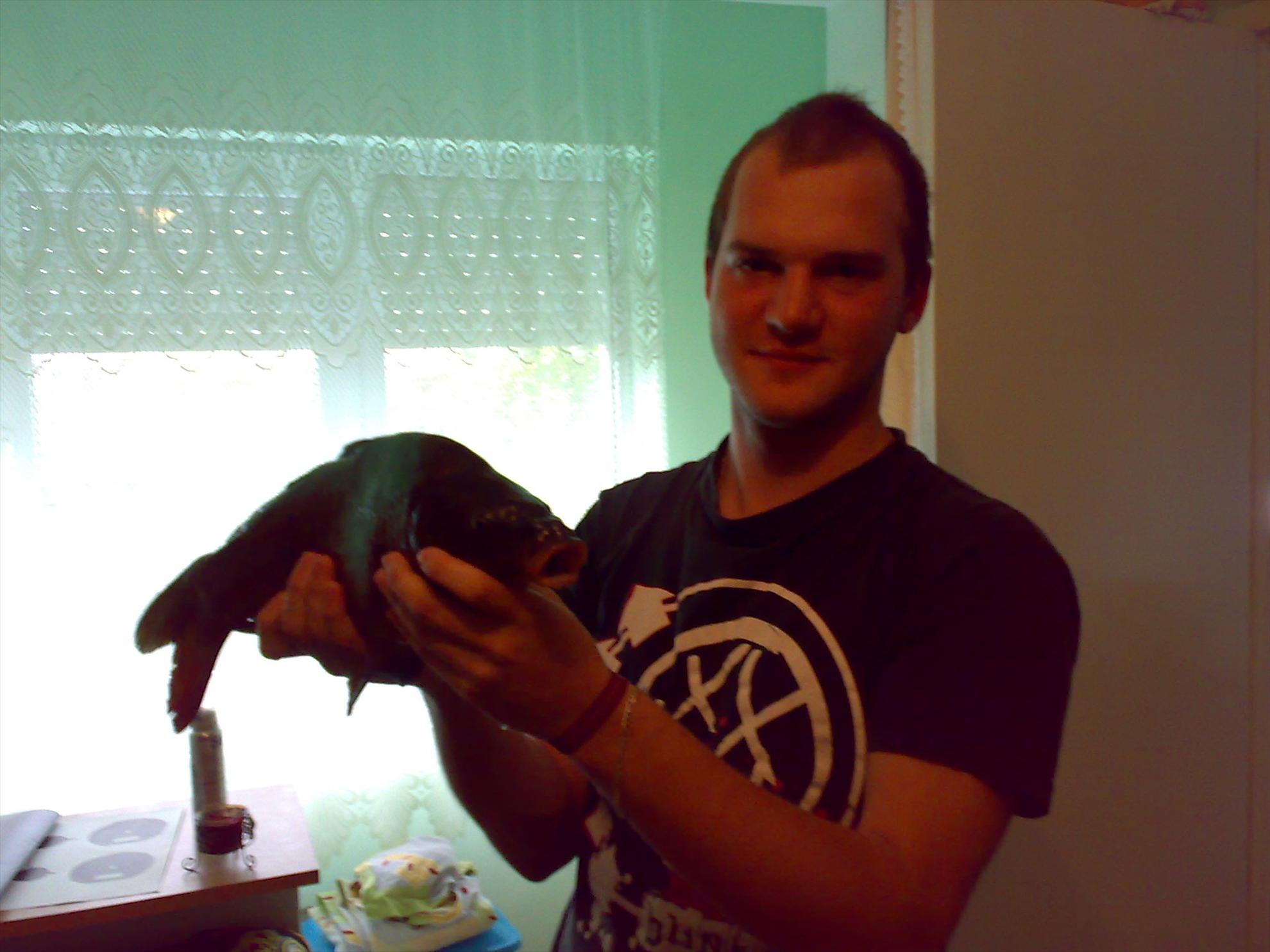 2013 - Crap de Cornesti, arad